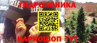 mdpv Камышлов
