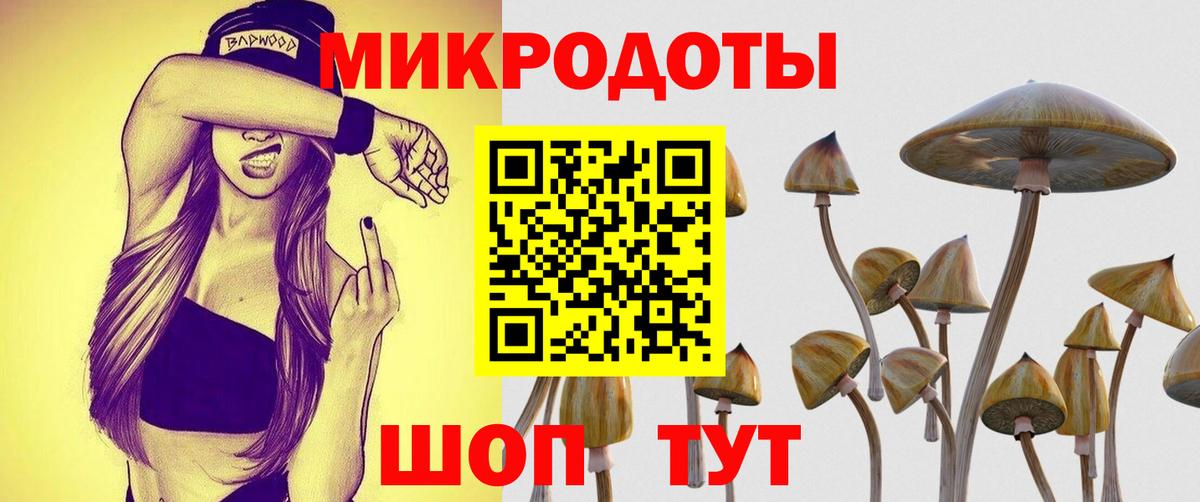 Псилоцибиновые грибы прущие грибы Краснознаменск